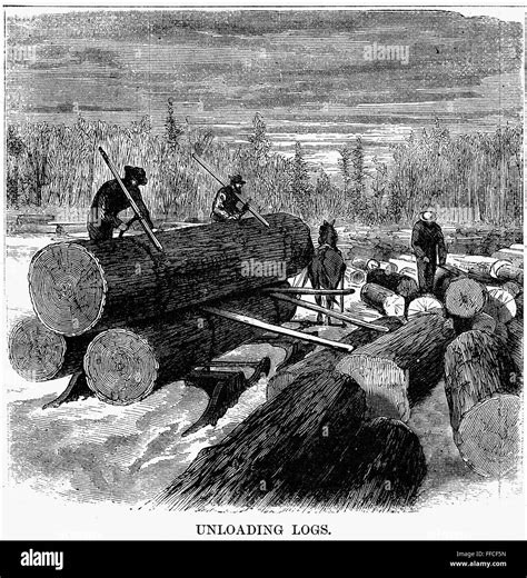 Lumbering 1868 Nunloading Logs From A Sledge In The Pine Forests Of
