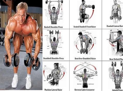 Best Dumbbell Exercises For Shoulders Bodybuilding Com