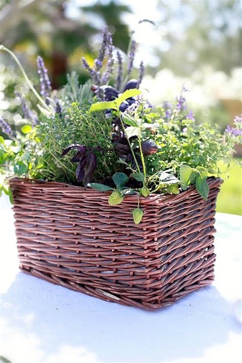 Outdoor & garden expert, owen reeves, explains how you can have fresh herbs on hand for cooking by having an indoor garden. 33 Best Container Herb Garden Combinations For Flavor ...