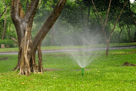 Should i water my lawn if it is going to rain? Best Way To Water Lawn Without Sprinkler System: 3 Water-Saving Methods!