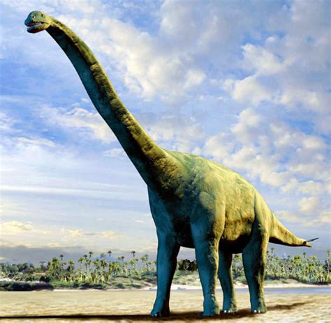 Paläontologie Fossile Überreste Eines Muskelprotz Dinos Entdeckt Welt