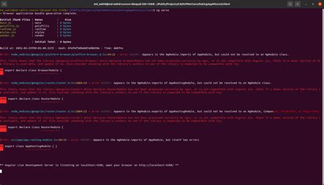 Ubuntu Error Showing After Ng Serve Command On Angular Stack