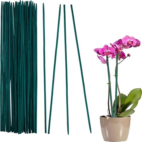 20pcs Bamboo Green Sticks Plant Support Flower Stick Orchid Rod Plant