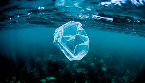 Umwelt Tonnenweise Plastik An Der Oberfläche Des Mittelmeers Forschung And Lehre