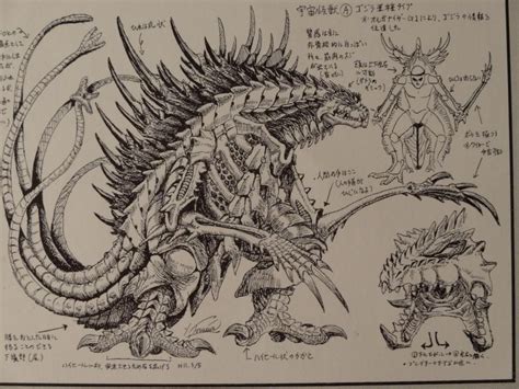 An Old Drawing Of A Dragon With Many Different Parts In Its Body And Head