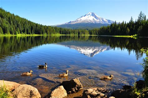 15 Best Lakes In Oregon The Crazy Tourist Beautiful Places To Visit