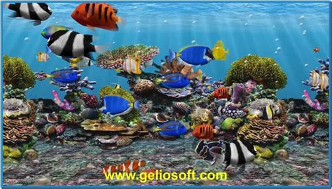 50 Animated Goldfish Wallpaper And Screensaver On