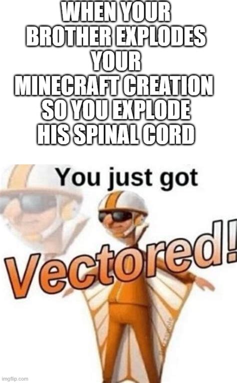 25 You Just Got Vectored Get Vectored Memes 239866