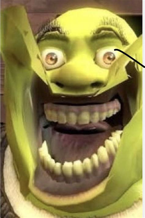 9 10 21 Shrek Funny Funny Troll Shrek