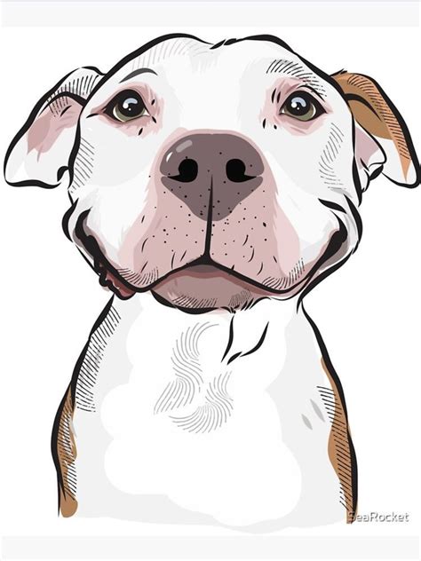 Cartoon Dog Drawing Pitbull Drawing Cool Art Drawings Art Drawings