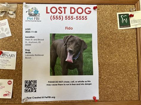 The Dos And Donts Of Distributing Lost Pet Flyers Pet Fbi Pets