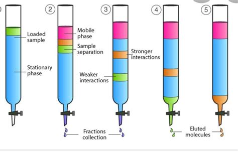 What Is Column Chromatography Explain With A Diagram Brainly In