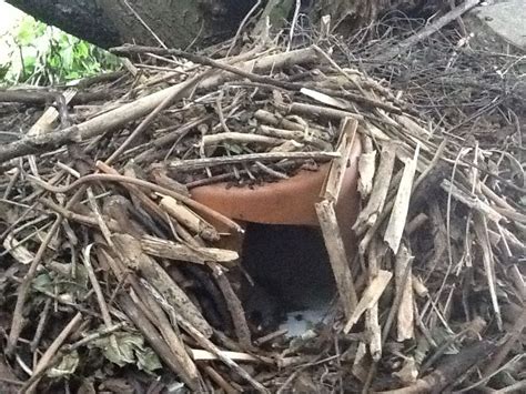 How To Make A Homemade Hedgehog House