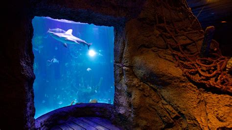 Sea Life Orlando Aquarium Vacation Rentals House Rentals And More Vrbo