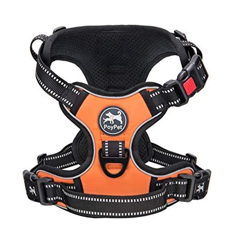 The Best Large Dog Harness July 2021