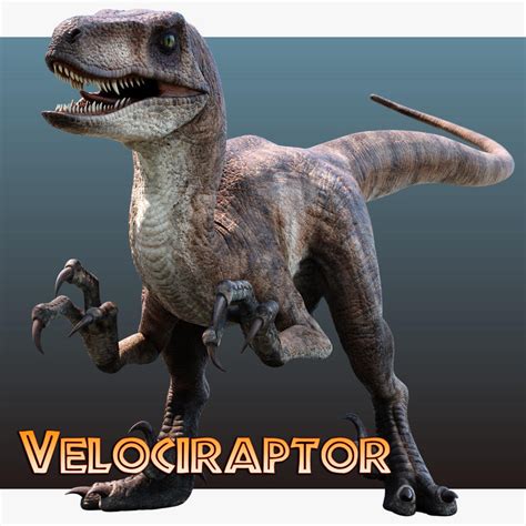 Jurassic Park Velociraptor By Benjee10 On Deviantart