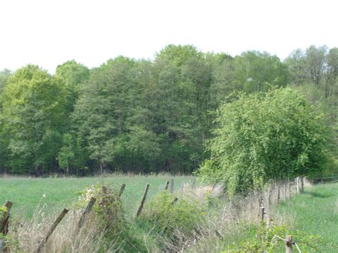 Haus christine asub kohas fischen. um Deutsch Evern-nahe Fischteichen | Fischteich, Lüneburg ...