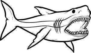 40+ megalodon coloring pages for printing and coloring. Dinosaurs - How to Draw Megalodon, Megalodon Shark ...