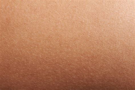 Human Skin Stock Photos Pictures And Royalty Free Images Istock