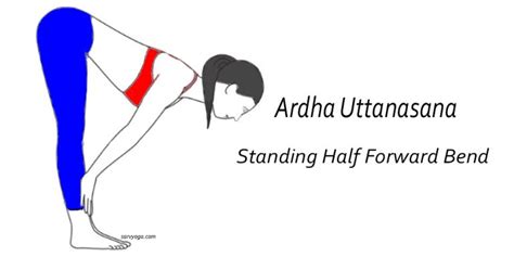 Ardha Uttanasana Standing Half Forward Bend Steps And Benefits Sarvyoga Yoga