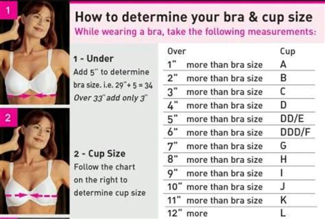 Determine Your Bra Size Bra Size Charts Bra Size Guide Bra Sizes