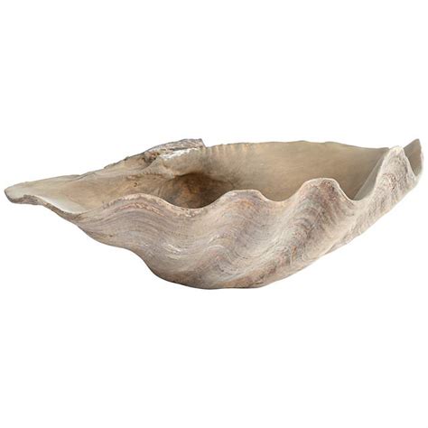 Two Huge 23 Natural Looking Clam Shell Bowls Beach Ocean Nautical Table Decor Home And Garden