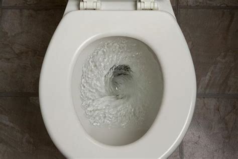 Nih Plans To Study Why Narcotics Benzos Fall Into Sinks Toilets