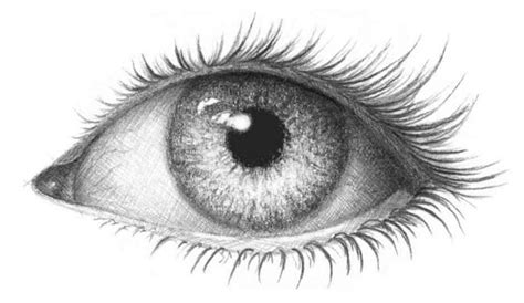 Zeichnen ideen leicht bilder designfan in schone bilder. Augen zeichnen lernen - 7 Beispiele (inkl. Anleitung ...