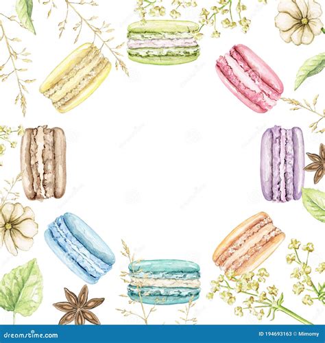 Watercolor Border Frame With Various Macaroons Flowers And Greens