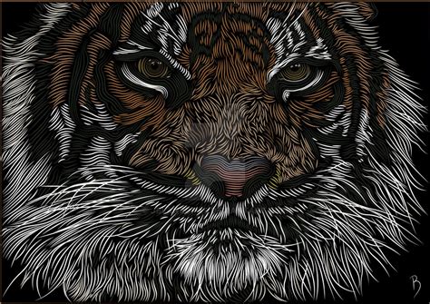 The Tiger By Jblancopas On Deviantart