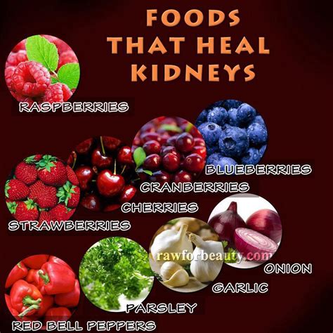 If you're following a strict renal diet or looking to reduce your sodium, potassium, and phosphorus levels, then these cookbooks will help guide you through foods to eat and avoid as well as tasty recipes to enjoy for kidney health! Foods That Are Good For The Kidneys | Healing food, Kidney ...