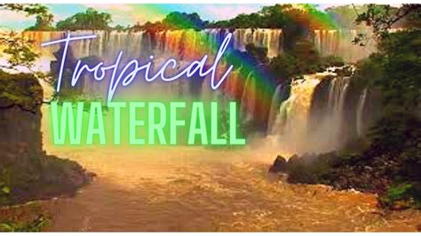 Relaxing Nature Sounds Tropical Rain Forest Waterfall Relaxing Sounds