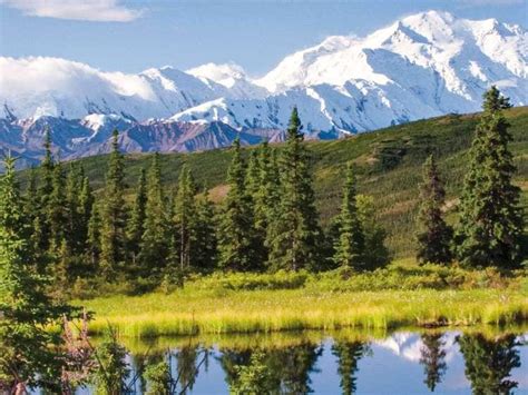 Shore Excursions And Tours For Denali National Park Alaska Cruise