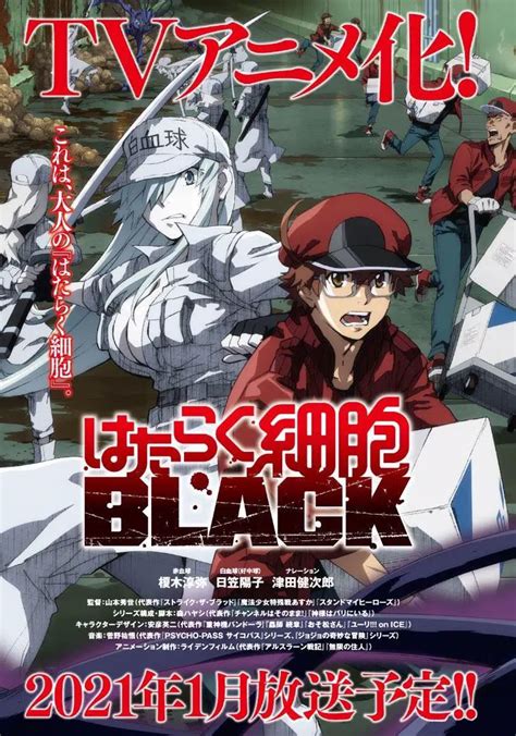 Cells At Work Code Black Shares Trailer And Key Visual Anime News
