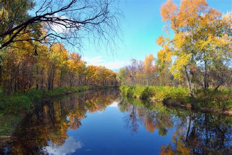 Autumn Trees And Reflection In Water Stock Image Image Of Natural