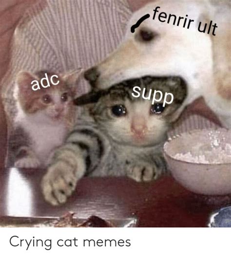 Download Meme Cat Crying Png And  Base