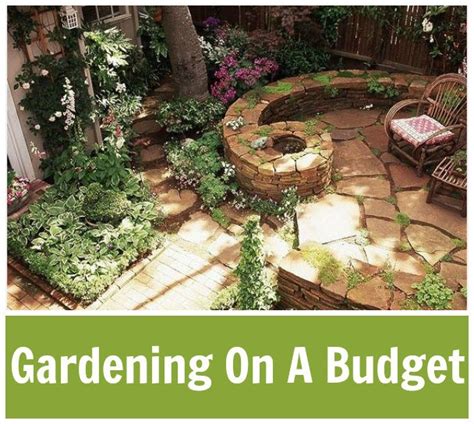 Frugal Gardening Tips For Beginners
