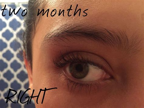 Pin On Eyebrow Growth Journey