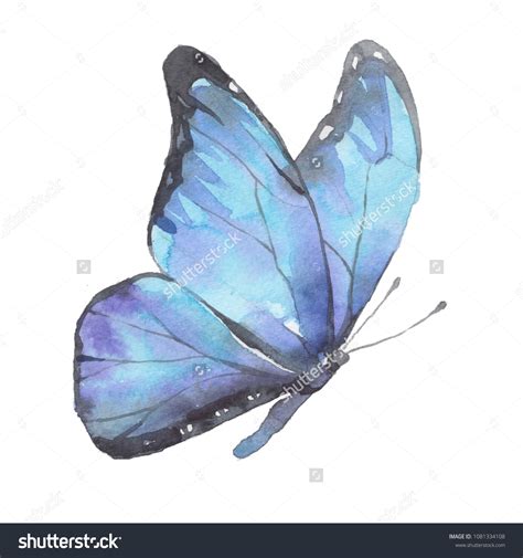 Blue Butterfly Drawing