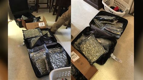 detectives seize over 20 pounds of pot in wilmington drug bust