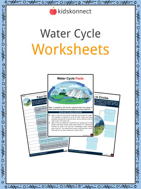 The Water Cycle Worksheet For Kids Water Cycle Summary