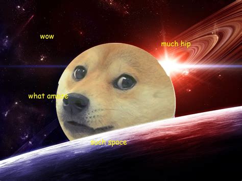 Free Download Doge Wallpaper By Dcombas 1024x576 For Your Desktop
