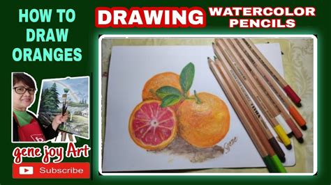 Drawing Oranges Fruit How To Draw Using Watercolor Pencils Gene Art