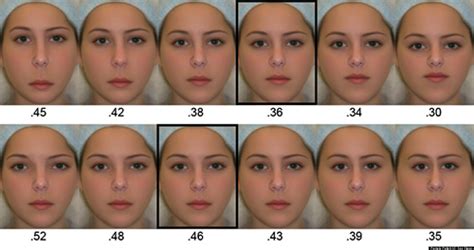 Science Of Beauty 4 Physical Traits That Help Define