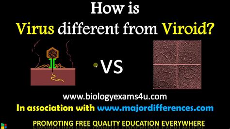 5 Differences Between Virus And Viroid Virus Vs Viroids