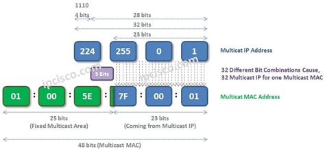 Multicast Mac Address 01005e 32 Multicast Ip Addresses ⋆ Ipcisco