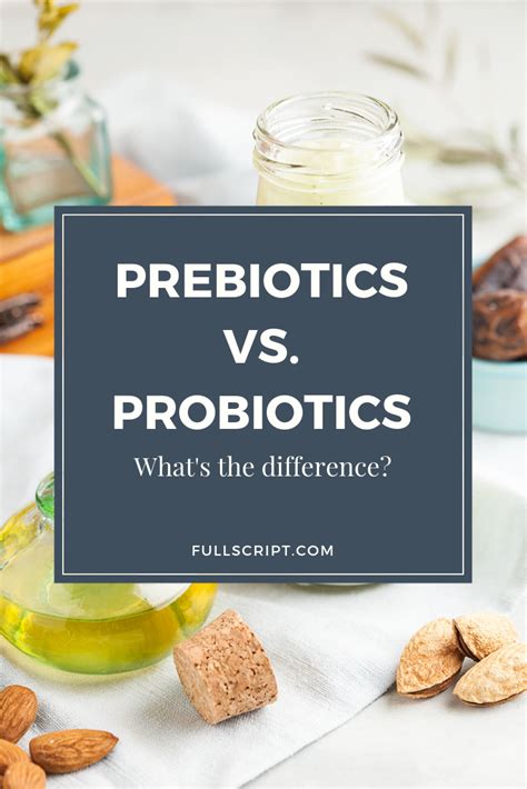 What Is The Difference Between Probiotics And Prebiotics What Do