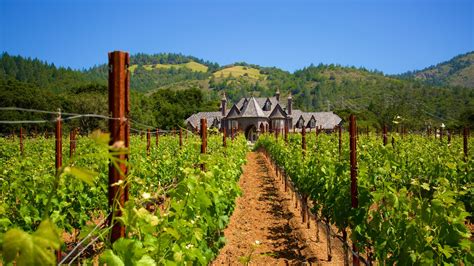 Visitez Wine Country Le Meilleur De Wine Country Californie Pour