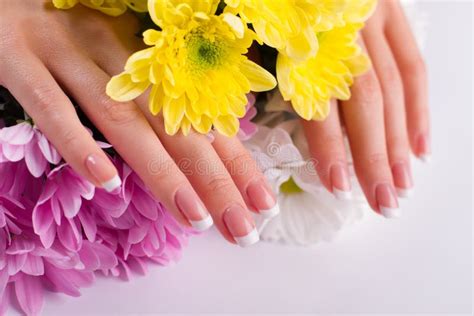 Well Groomed Female Hands With Manicure Stock Photo Image Of Massage