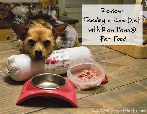 Raw pet foods made with beef, bison, chicken, and duck. Review: Feeding a Raw Diet with Raw Paws® Pet Food | The ...